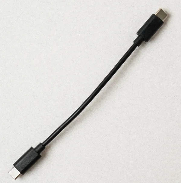 양쪽 끝이 USB-C 단자인 짧은 검은색 케이블